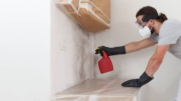 Professional Mold Cleanup technician working in Coopersville, MI
