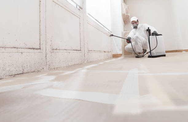 24/7 Emergency Mold Cleanup experts in Coopersville, MI