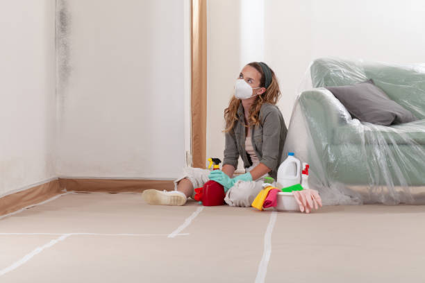 Reliable Mold Cleanup contractor in Coopersville, MI by WQB Mold Removal
